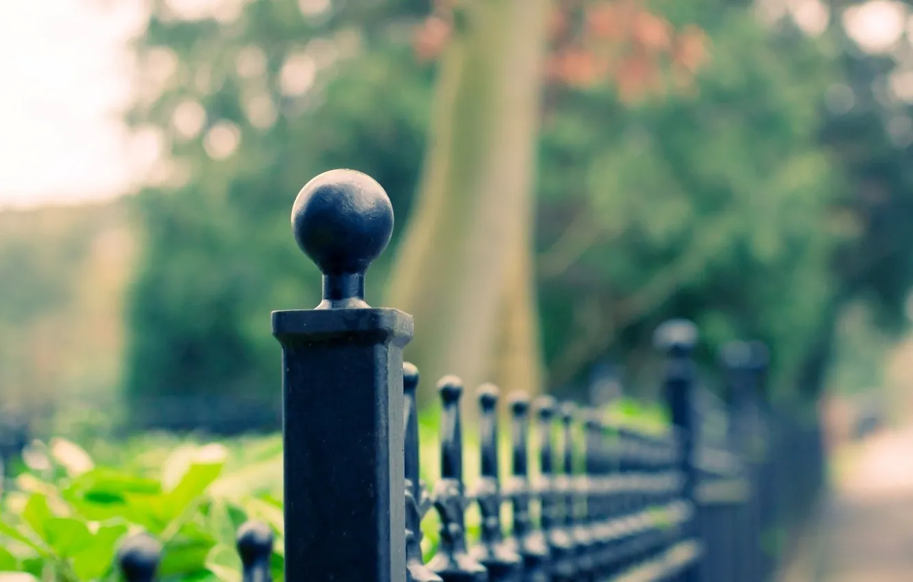 Photo wallpaper road, greens, summer, the fence, fence, Cov in a