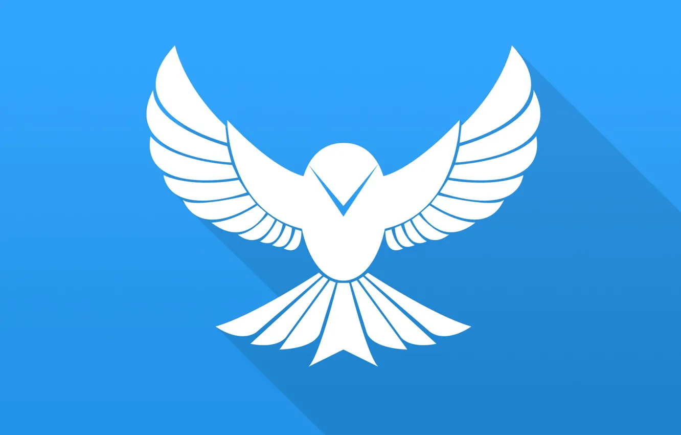 Photo wallpaper bird, wings, vector, bird, blue, flat