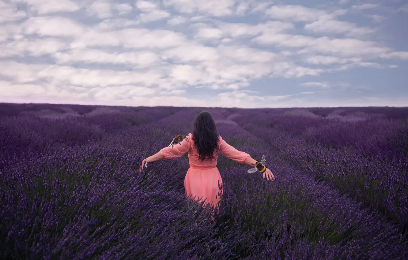 Photo wallpaper field, girl, lavender, bees, Lichon