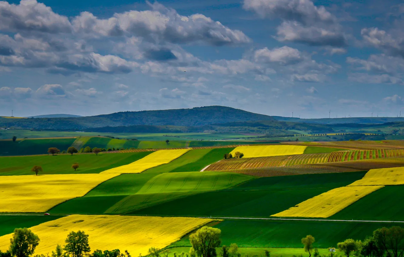 Photo wallpaper hills, field, Germany, Rhineland-Palatinate