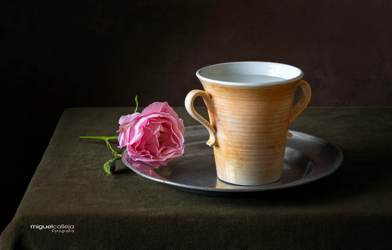 Photo wallpaper flower, water, rose, mug