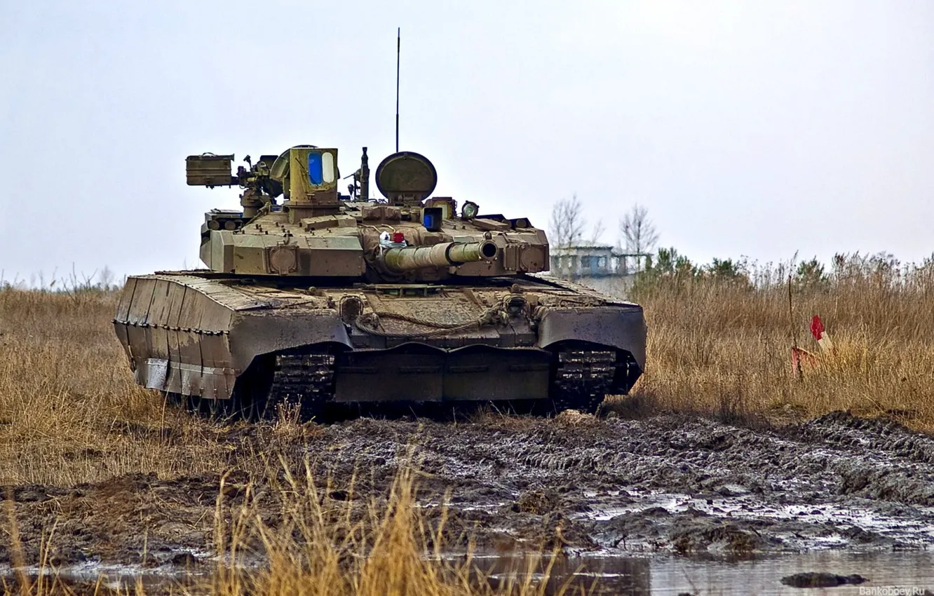 Photo wallpaper field, tank, Ukraine, t-84 Oplot