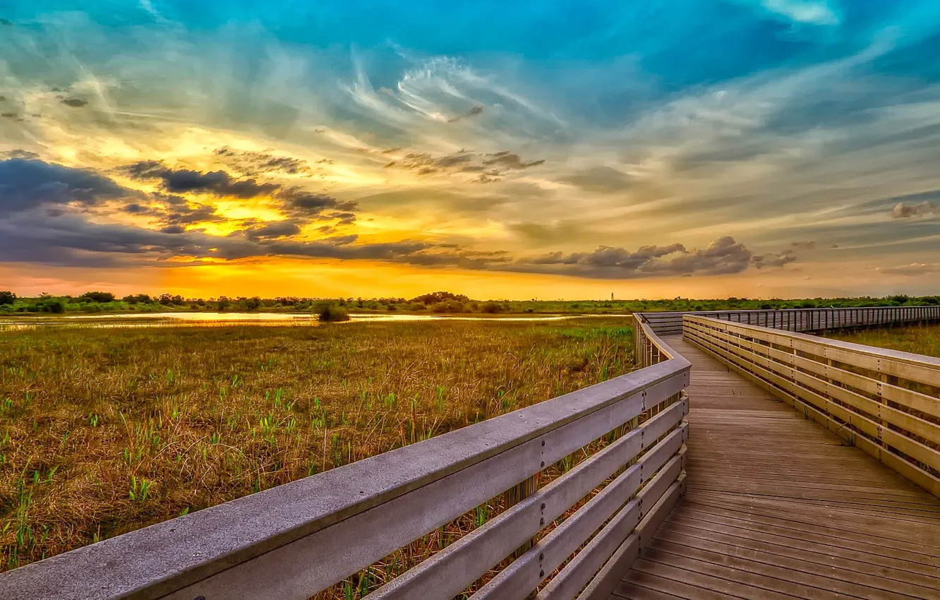 Photo wallpaper greens, field, grass, sunset, nature, beauty, beautiful, blue clouds