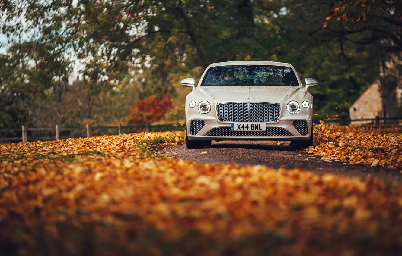 Photo wallpaper Bentley, Continental, light, white, Front, autumn, Mulliner