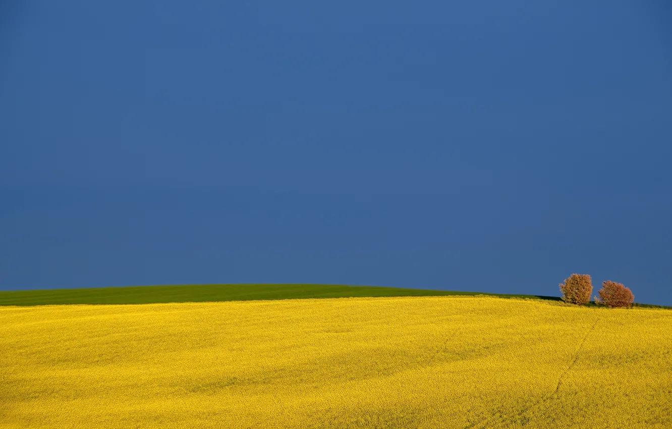 Photo wallpaper Italy, Marche, Minimum, Pollenza, Bivio di Cantagallo