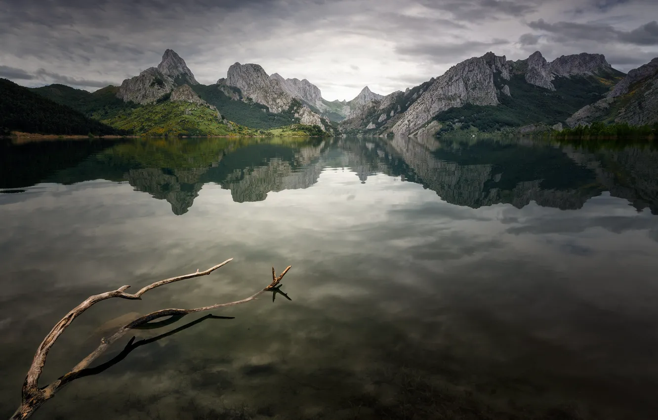 Photo wallpaper mountains, lake, reflection, branch