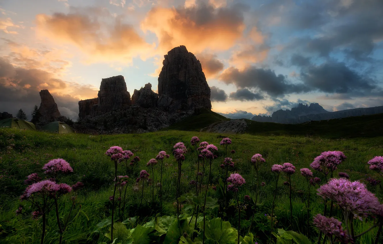 Photo wallpaper greens, summer, the sky, grass, clouds, flowers, mountains, rocks