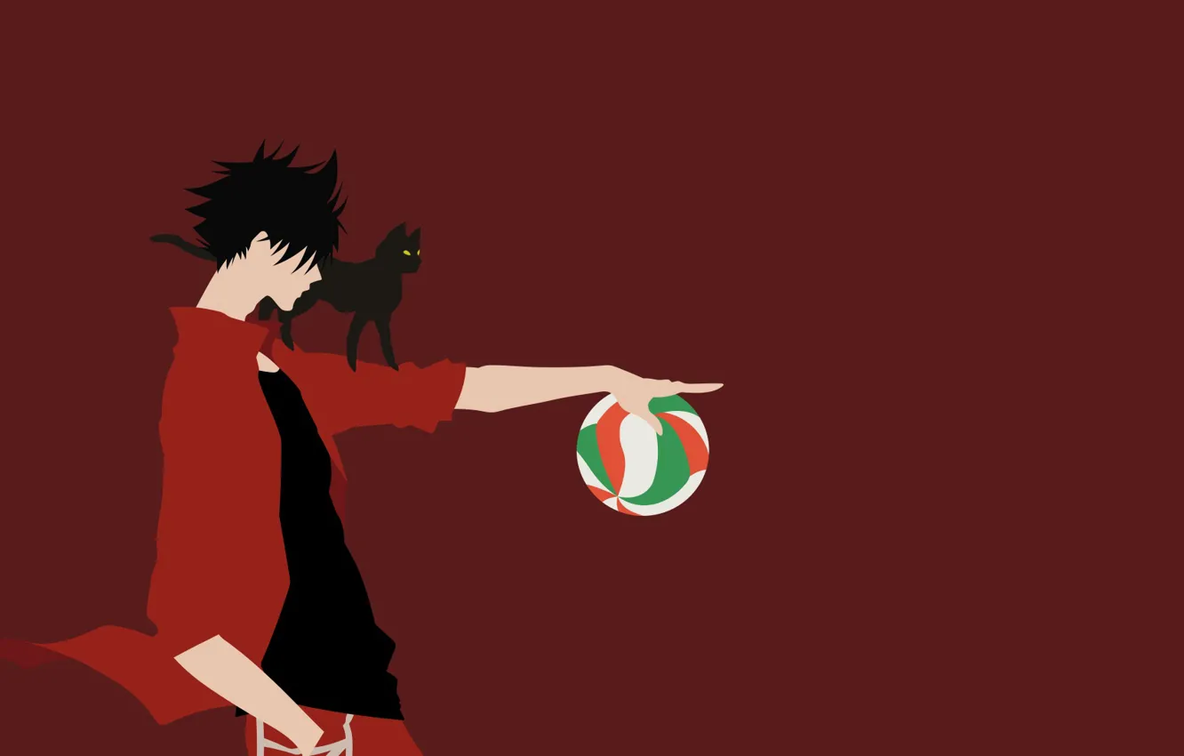 Photo wallpaper cat, the ball, guy, Volleyball, Haikyuu