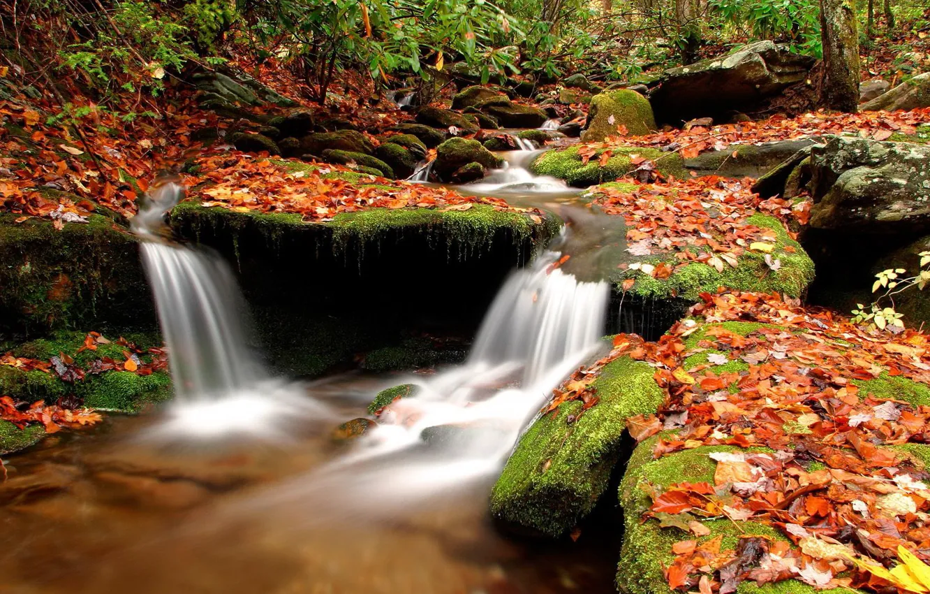 Photo wallpaper autumn, leaves, water, stream, Stones