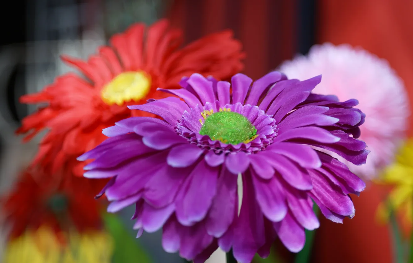 Photo wallpaper flowers, background, petals
