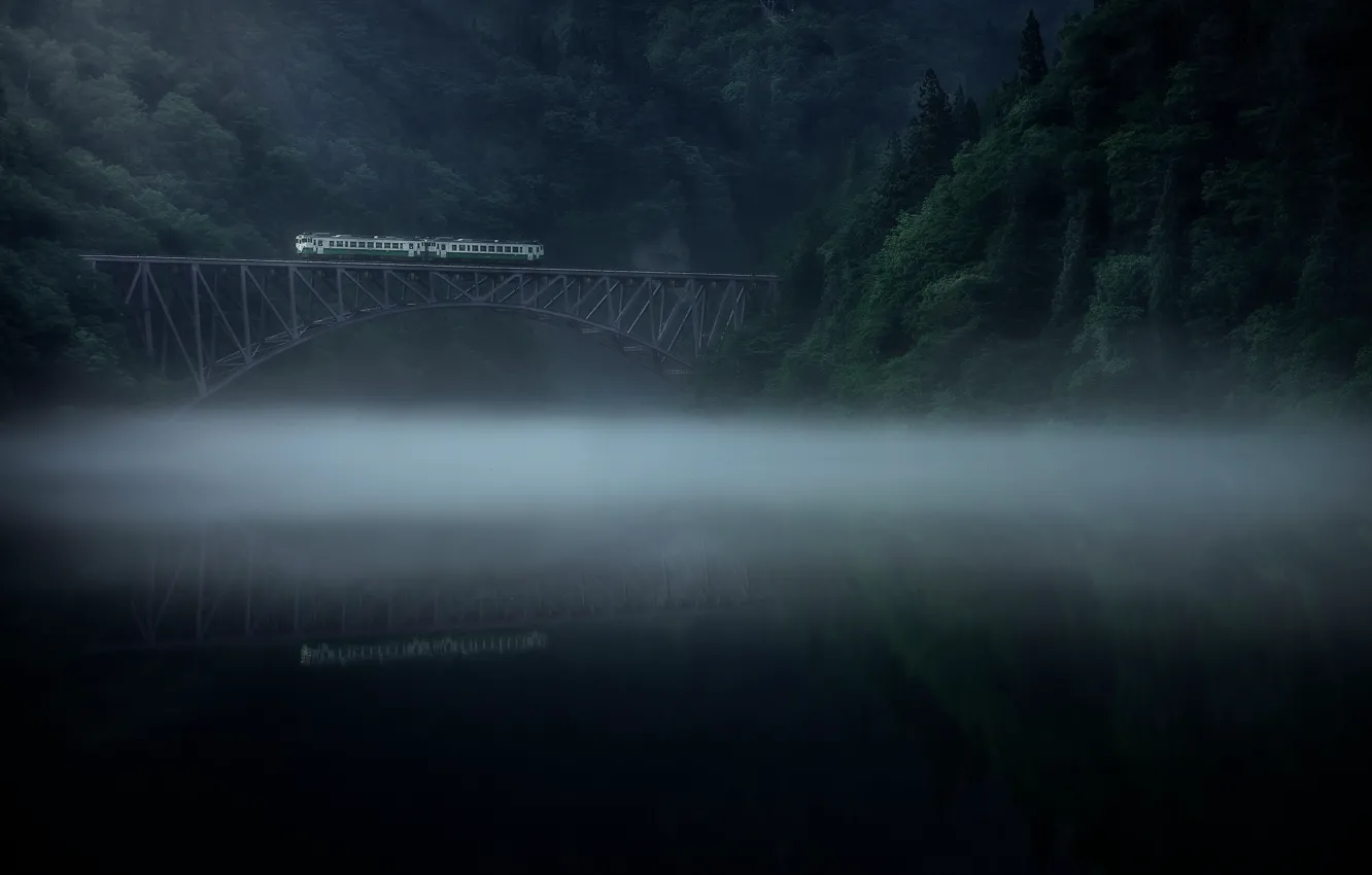 Photo wallpaper forest, fog, river, train, morning