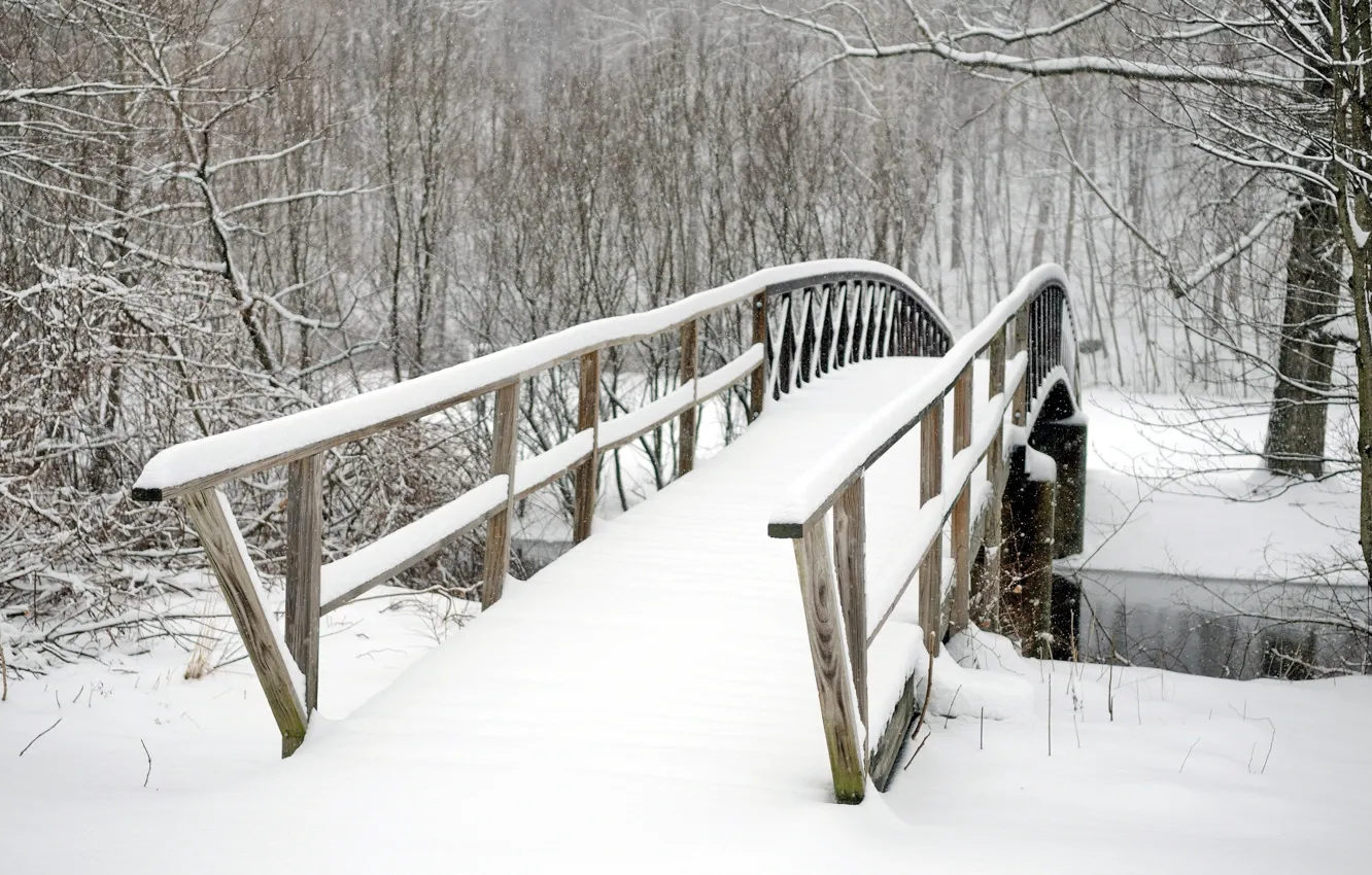Photo wallpaper trees, bridge, Park, winter, snow, winter landscape