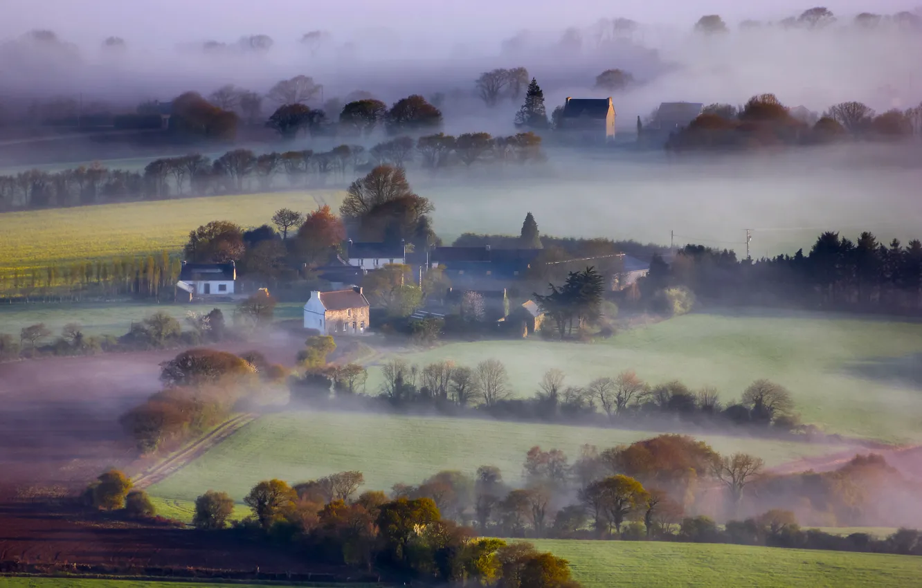 Photo wallpaper field, trees, fog, England, home