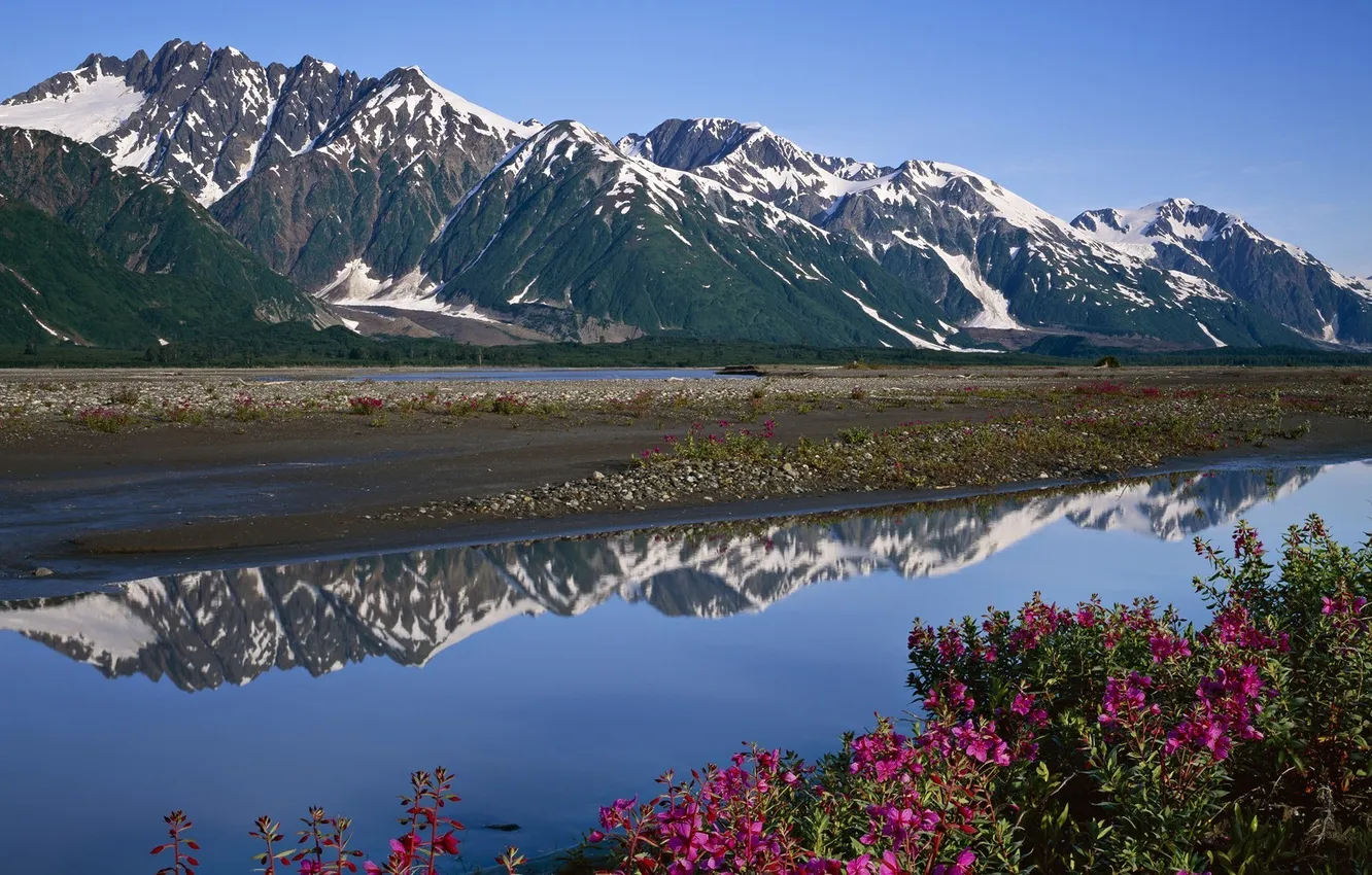 Photo wallpaper landscape, flowers, mountains, nature, river, stones, shore