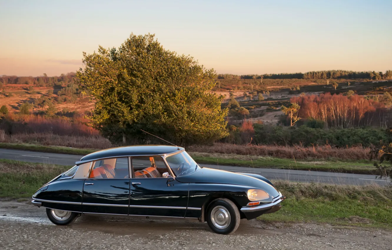 Photo wallpaper Citroen, Pallas, DS21