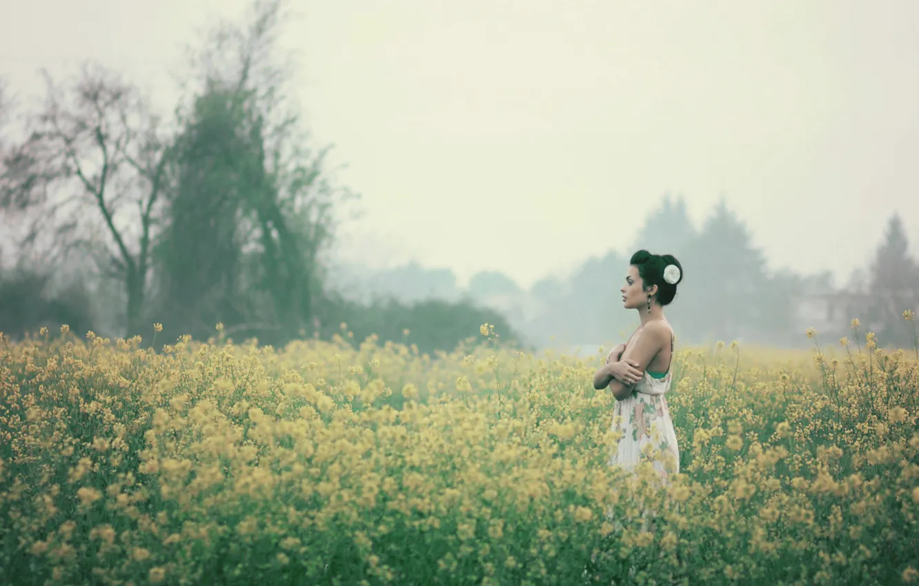 Photo wallpaper field, girl, flowers, fog