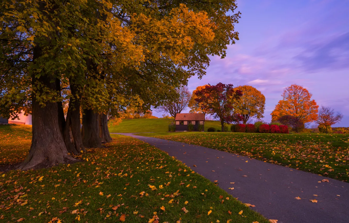 Photo wallpaper road, autumn, the sky, grass, clouds, trees, sunset, lawn
