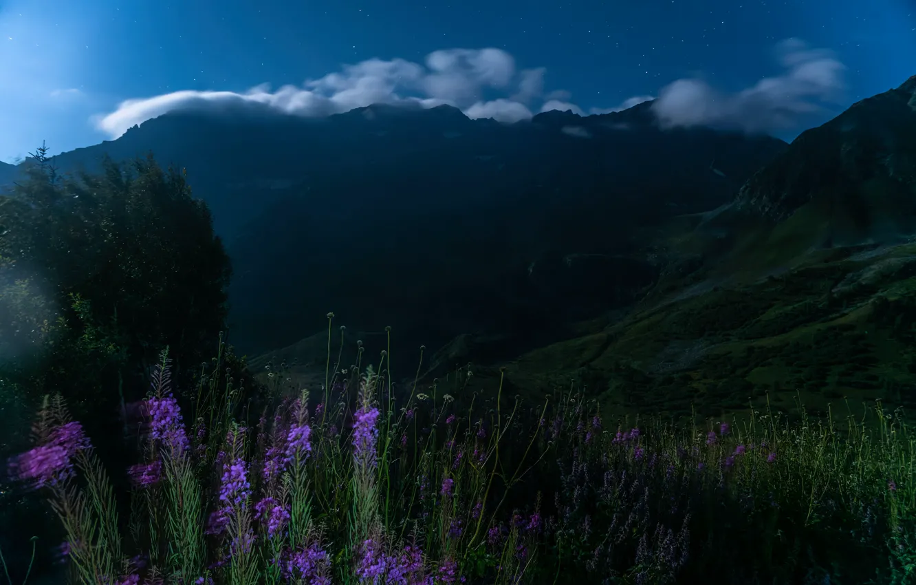 Photo wallpaper field, summer, clouds, flowers, mountains, night, fog, blue