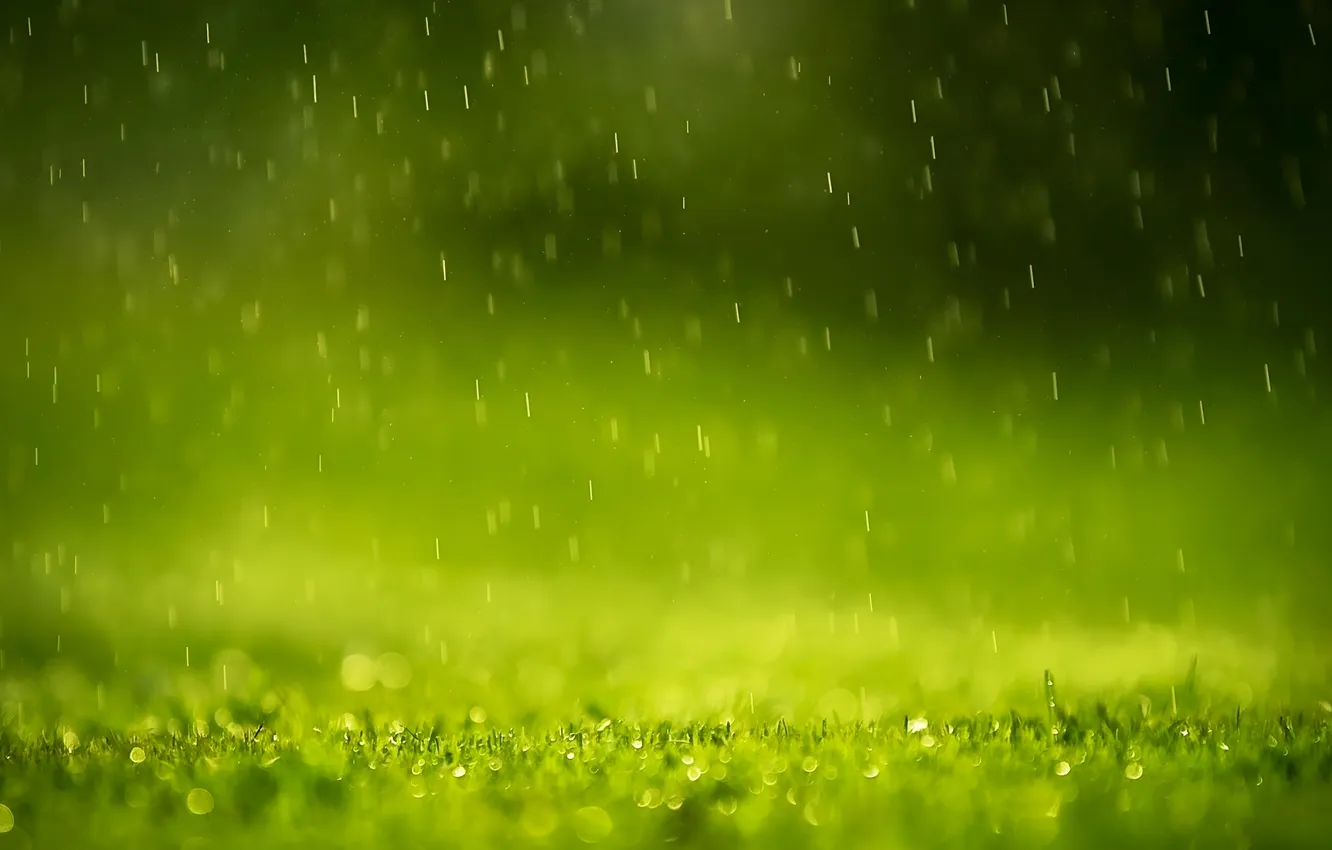 Photo wallpaper rain, rain, green background, green background