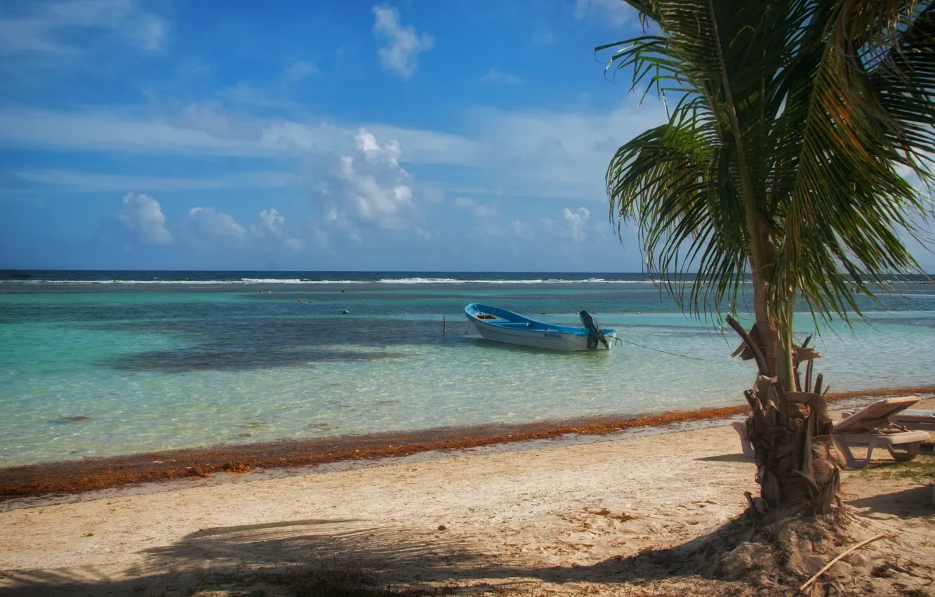 Photo wallpaper sea, beach, tropics, palm trees, shore, boat