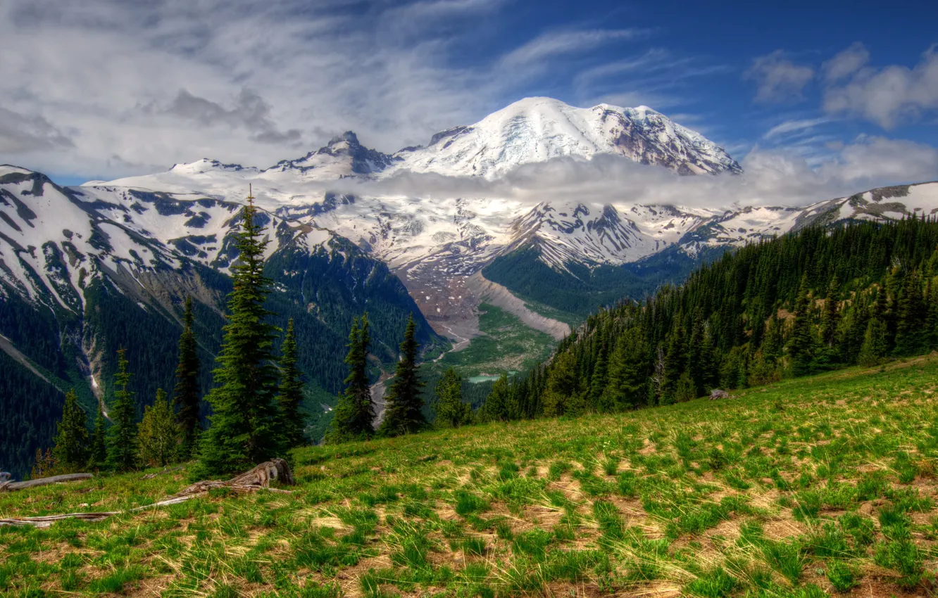 Photo wallpaper grass, landscape, mountains, nature, Park, HDR, Washington, Mt Rainier