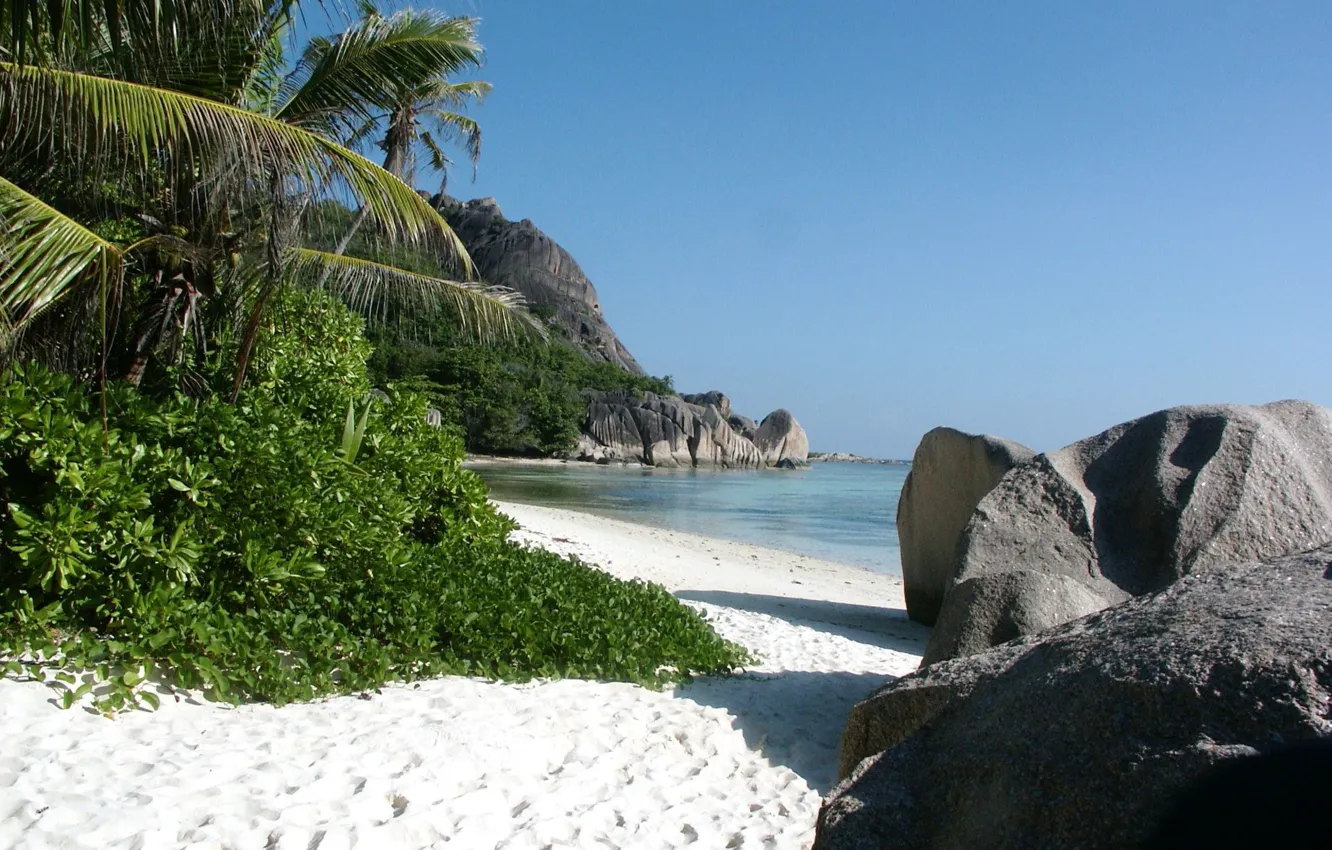 Photo wallpaper sand, sea, cane, tropical beach, stones