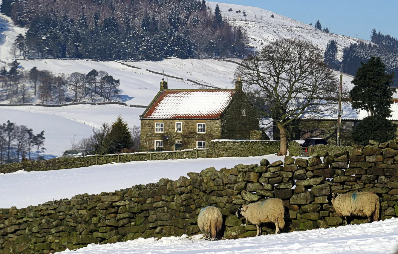 Photo wallpaper winter, snow, village, RAM, winter, snow, village