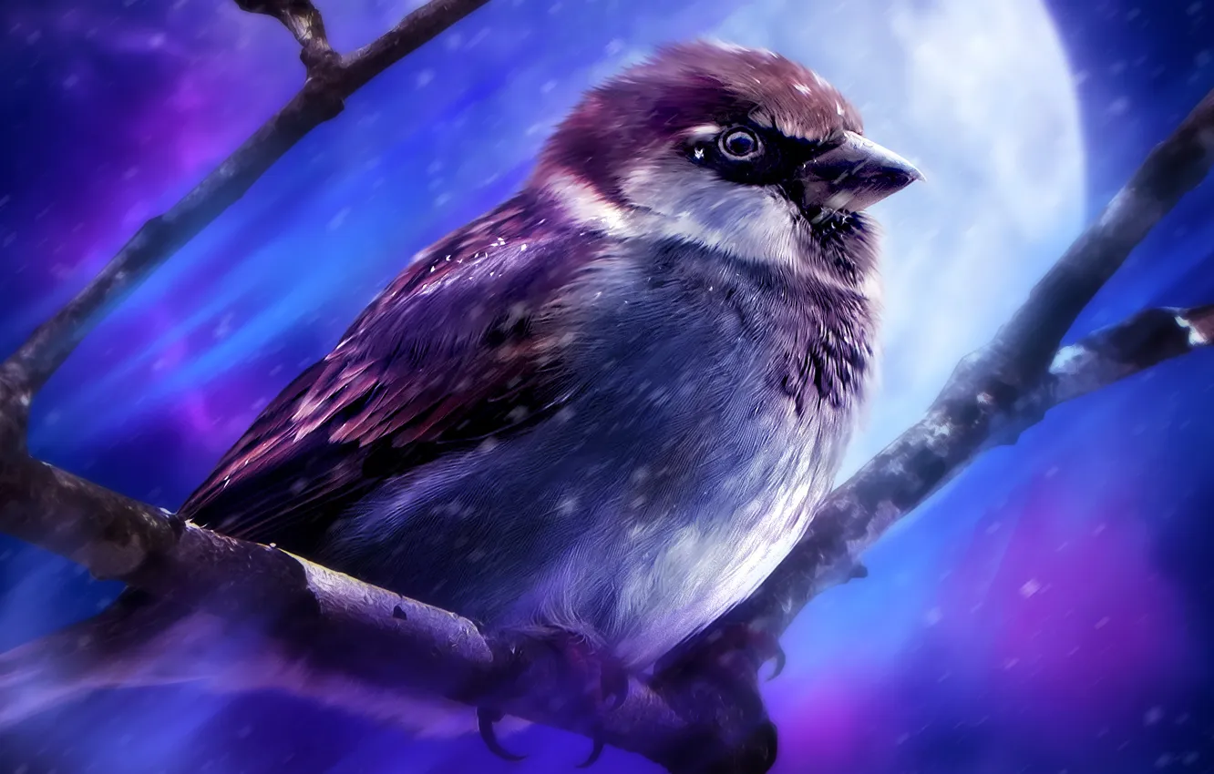 Photo wallpaper branches, bird, art, Sparrow