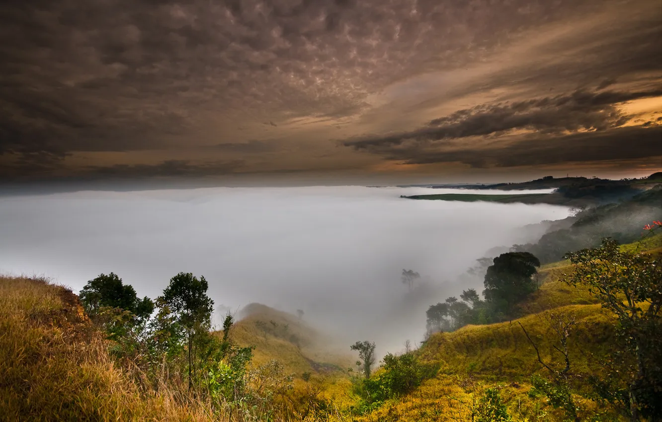 Photo wallpaper the sky, trees, fog, hills