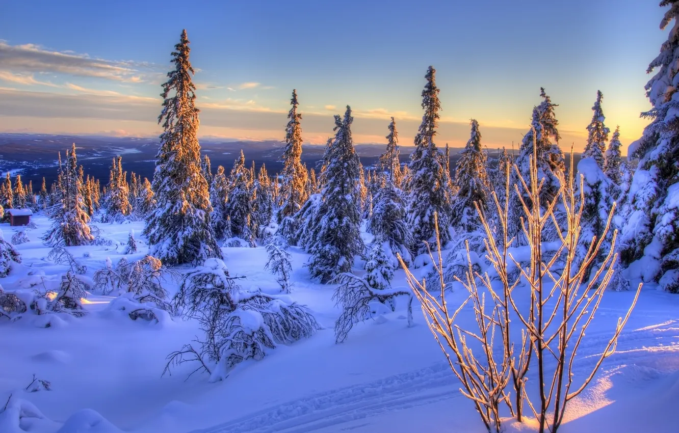 Photo wallpaper winter, snow, ate, Norway, Norway