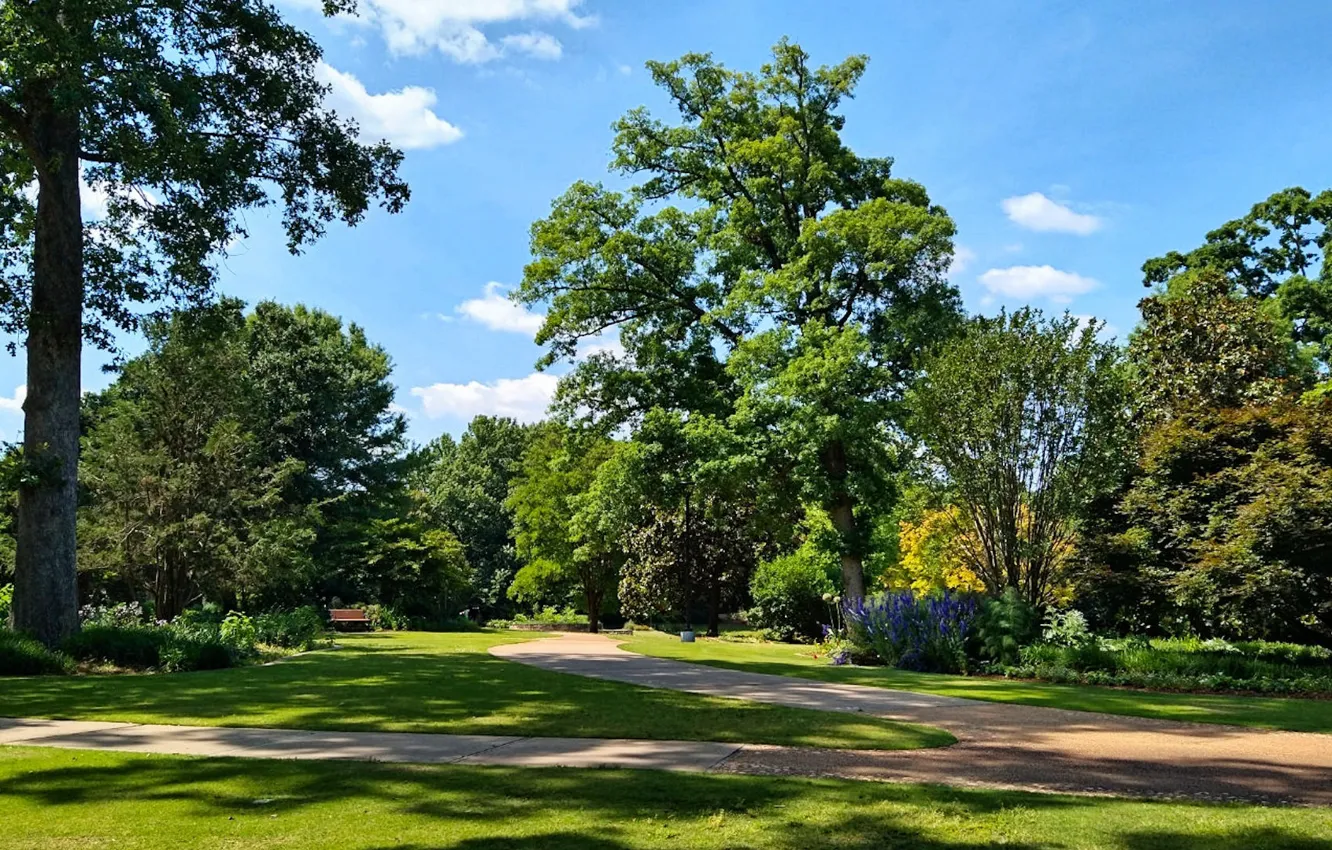 Photo wallpaper park, spring, Fred Fletcher Park, Jim Perry