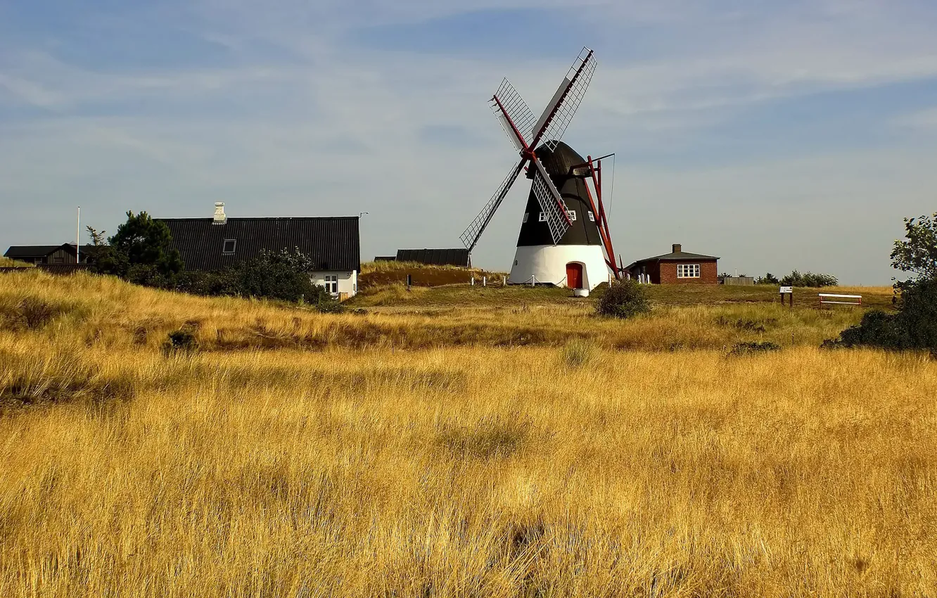 Photo wallpaper grass, village, home, village, meadow, hay, mill