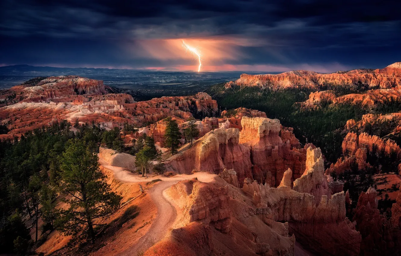 Photo wallpaper forest, the sky, clouds, rocks, lightning, canyon
