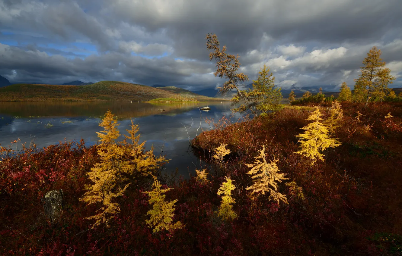 Photo wallpaper autumn, clouds, shore, herringbone, pond