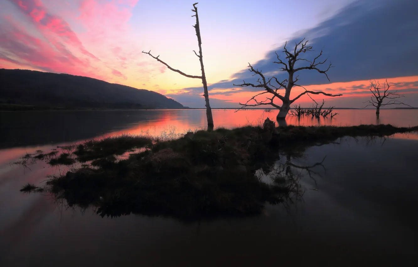 Photo wallpaper trees, lake, morning