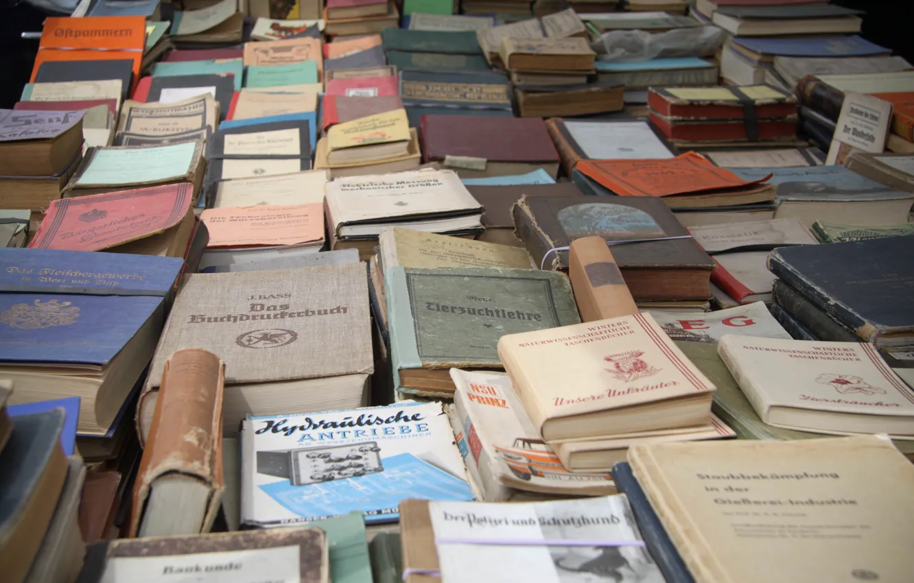 Photo wallpaper book, different, a lot