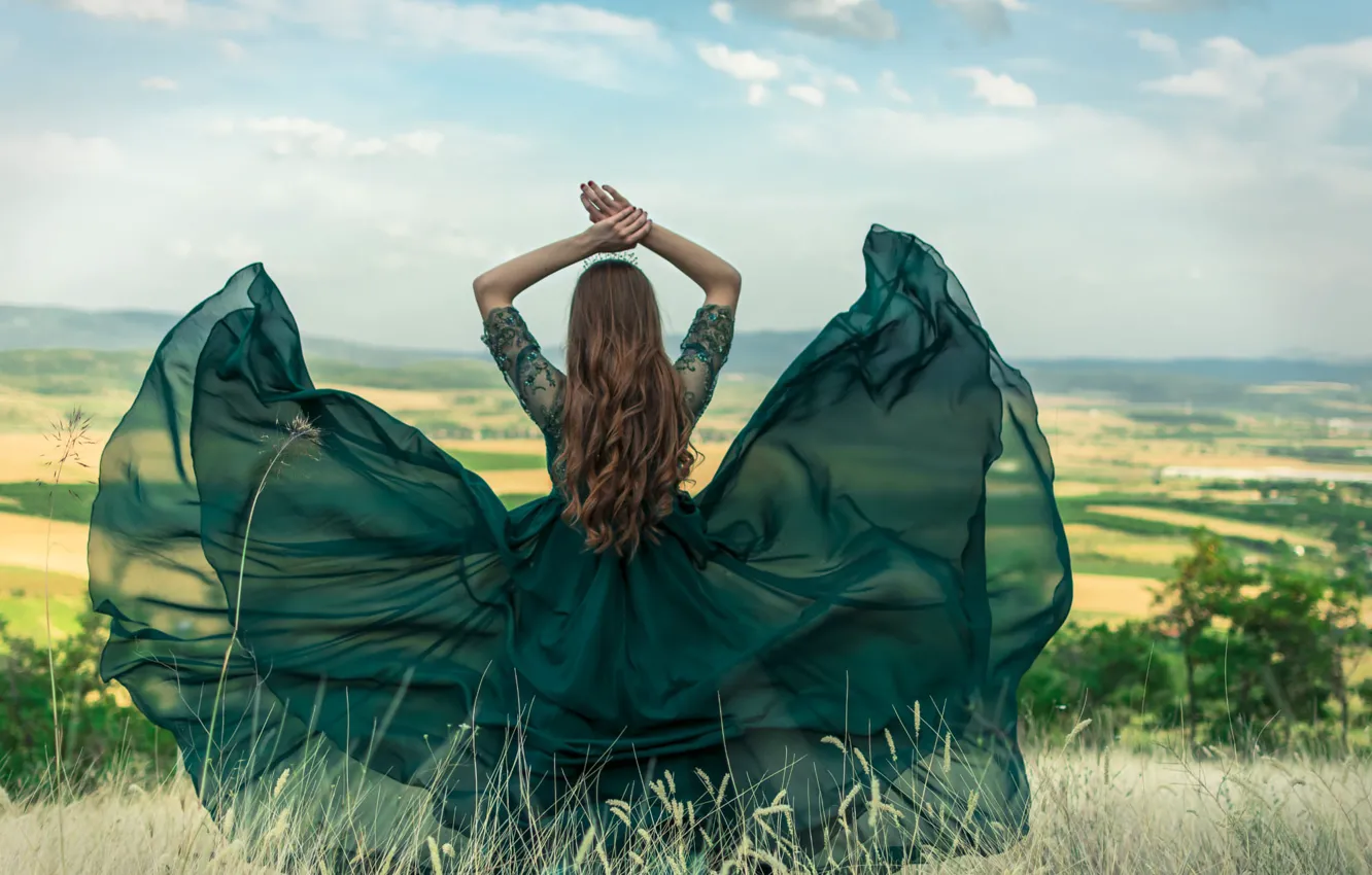 Wind style. Принцесса в зеленом платье. Девочка в зеленом платье вид сзади рисунок. Ветер в спину.