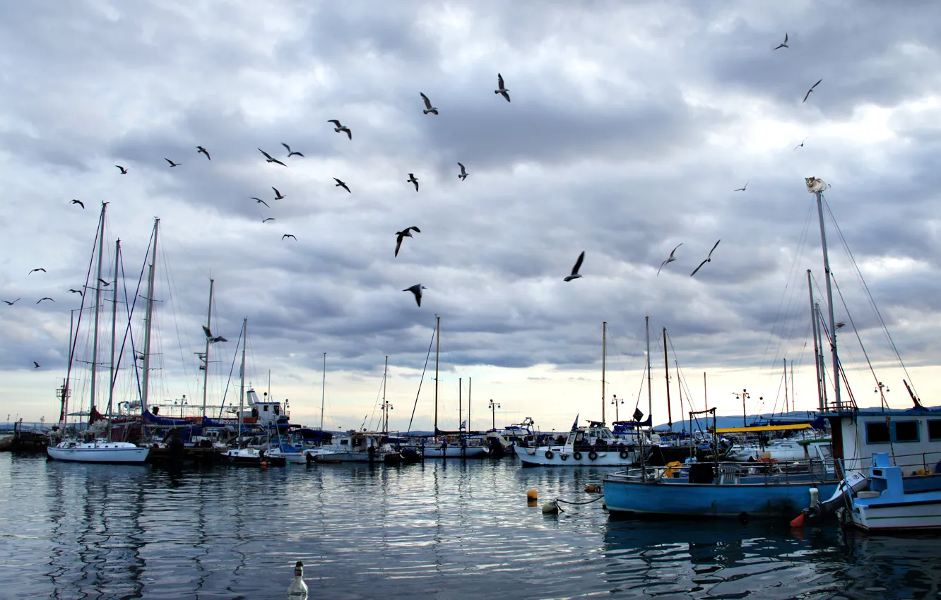 Photo wallpaper sea, the sky, clouds, bird, port, sky, sea, clouds