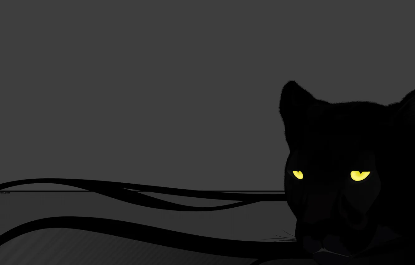 Photo wallpaper cat, eyes, grey, Panther