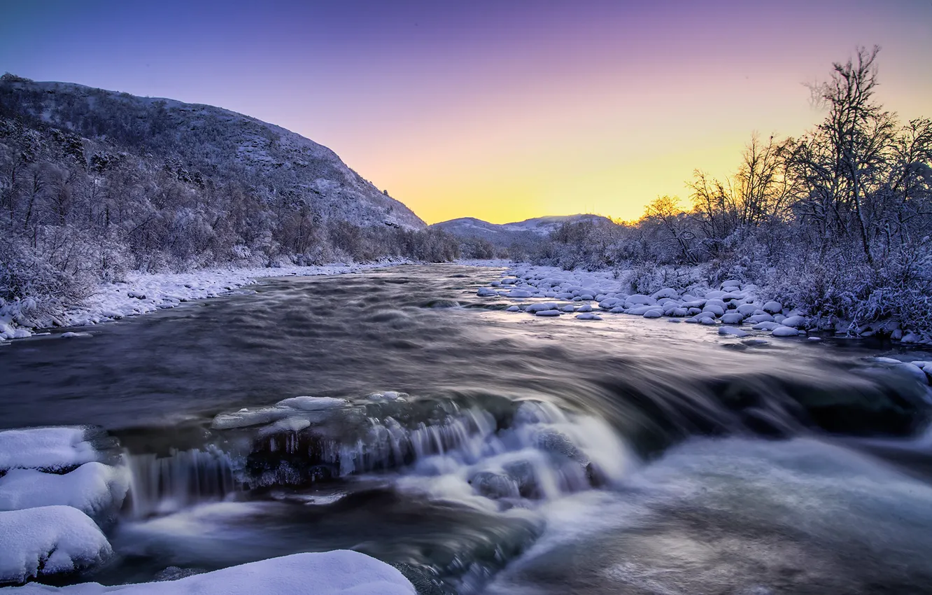 Photo wallpaper winter, snow, trees, nature, river