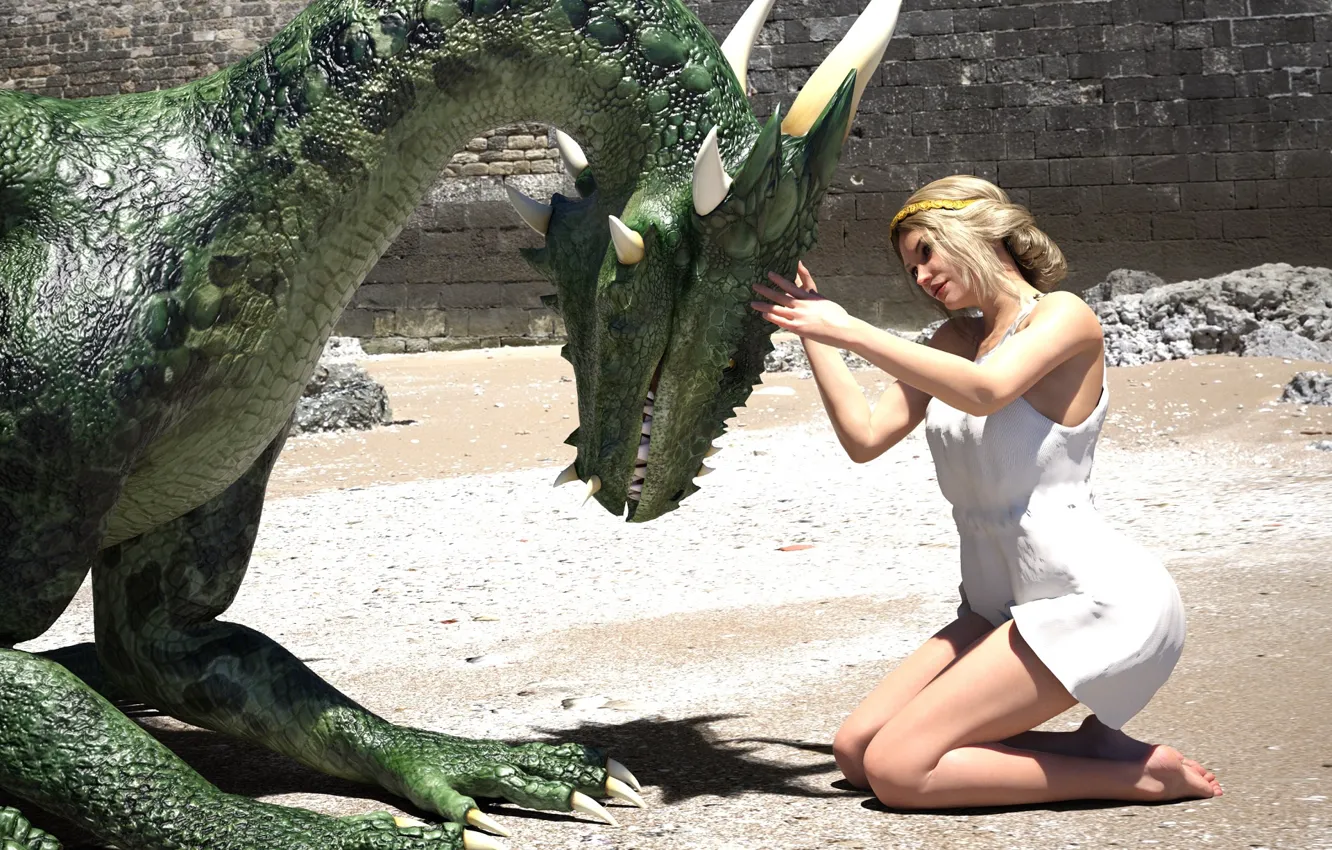 Photo wallpaper girl, wall, dragon