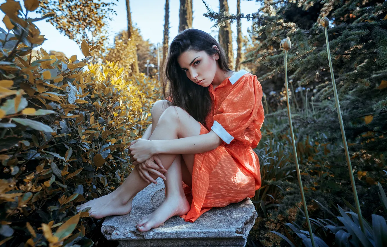 Photo wallpaper dress, legs, sponge, SUMMER