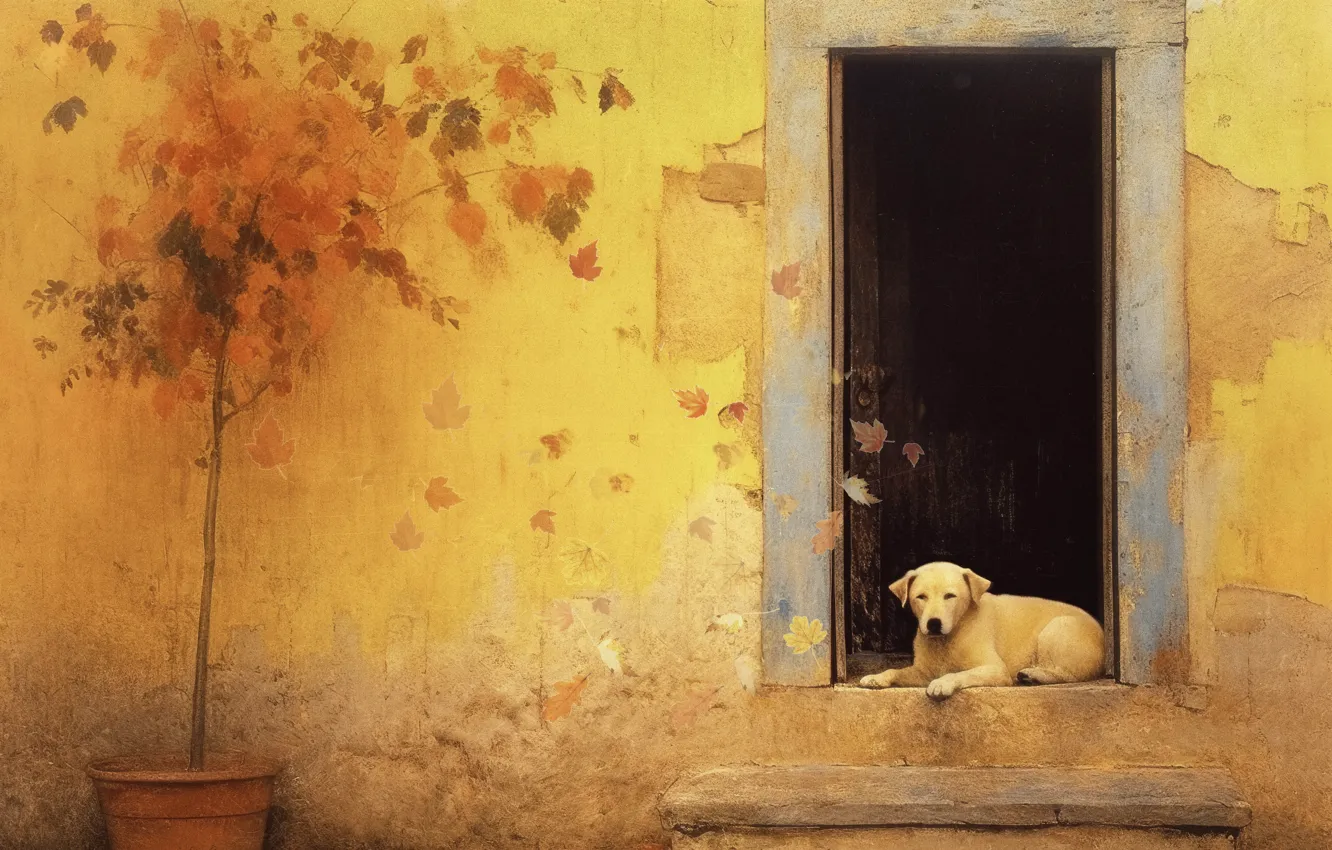 Photo wallpaper wall, home, dog, the door, pot, painting, tree, thresholds