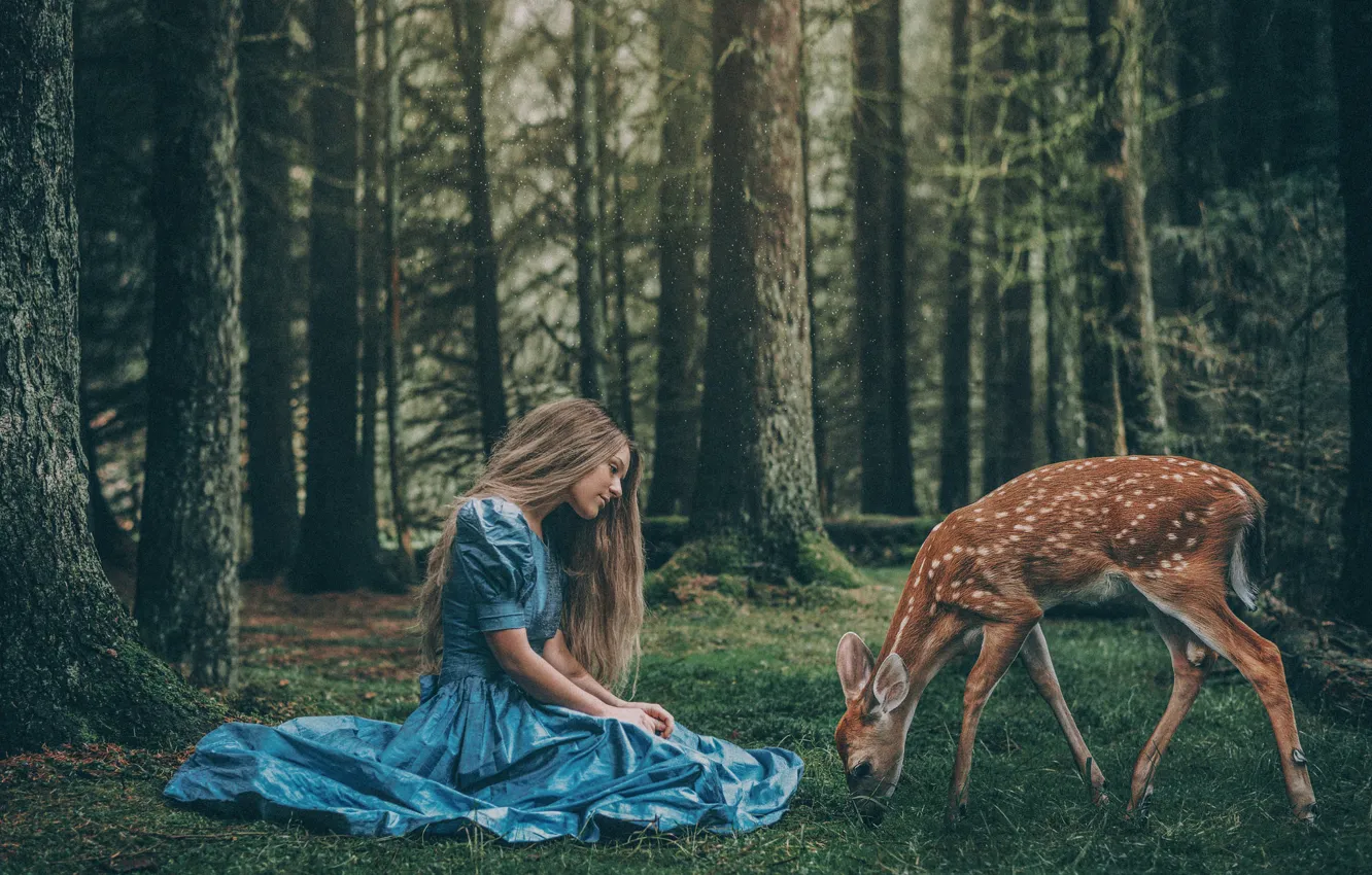 Photo wallpaper forest, girl, kindness, hair, cute, the situation, dress, fawn
