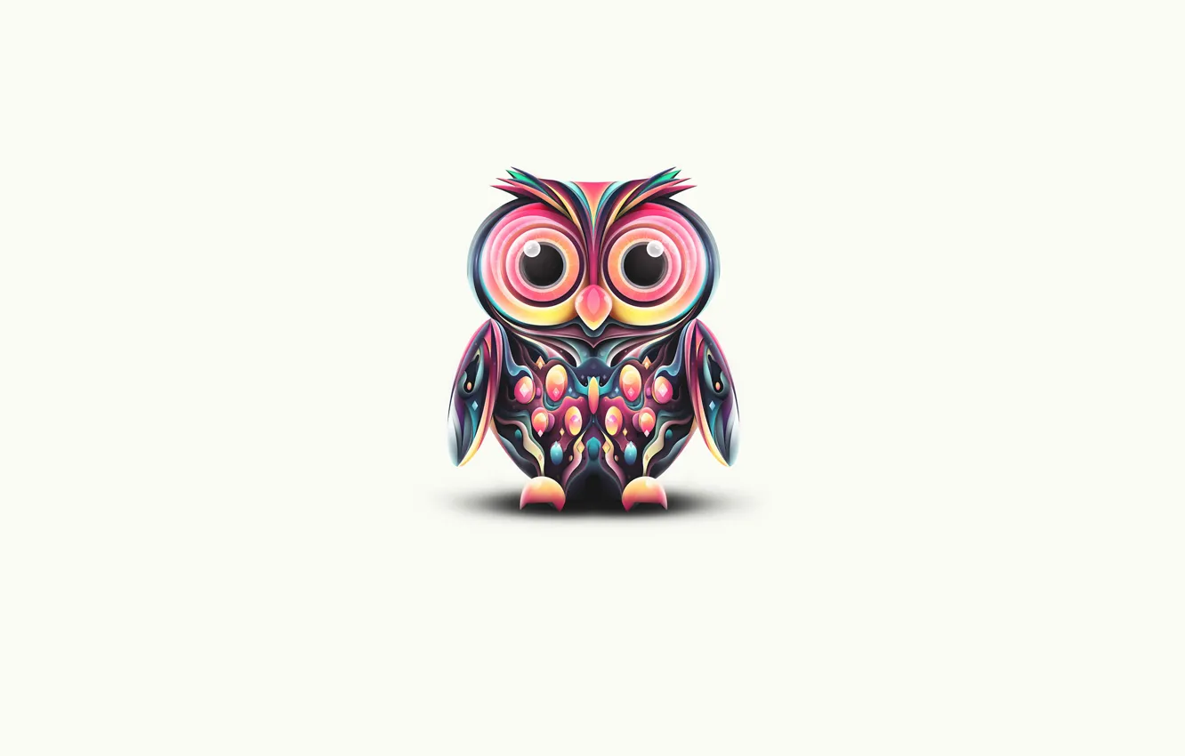 Photo wallpaper owl, paint, color, minimalism