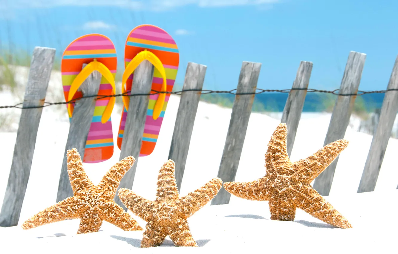 Photo wallpaper sand, beach, the fence, vacation, resort, slates, starfish