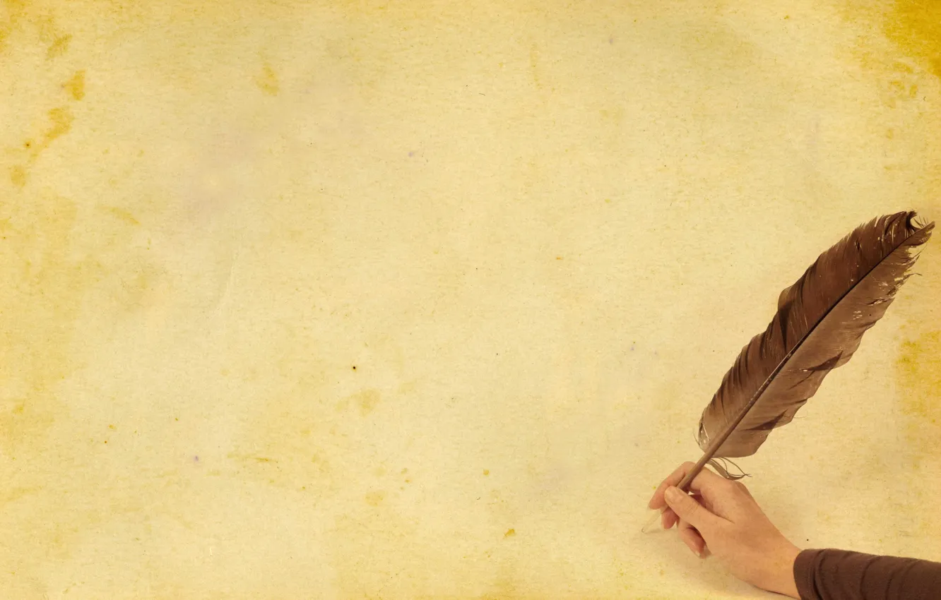 Photo wallpaper letter, background, feathers, hands