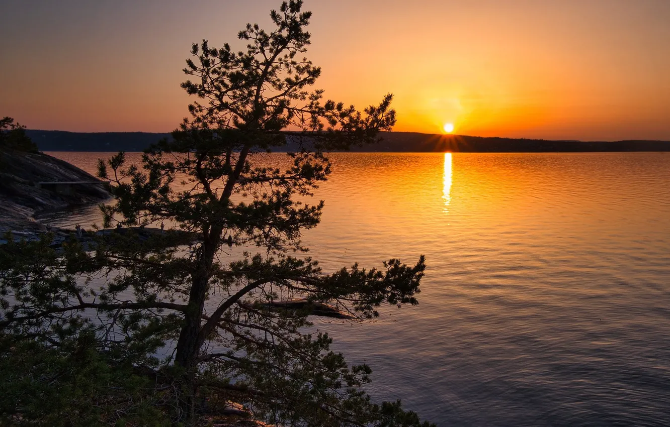 Photo wallpaper the sky, the sun, sunset, lake