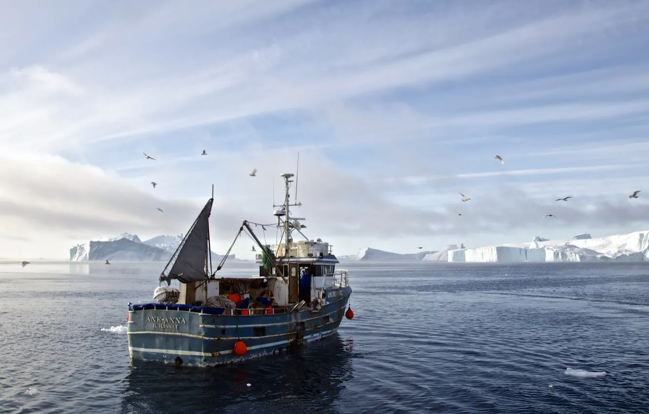 Photo wallpaper sea, ship, Greenland, Ilulisat, Vestgronland