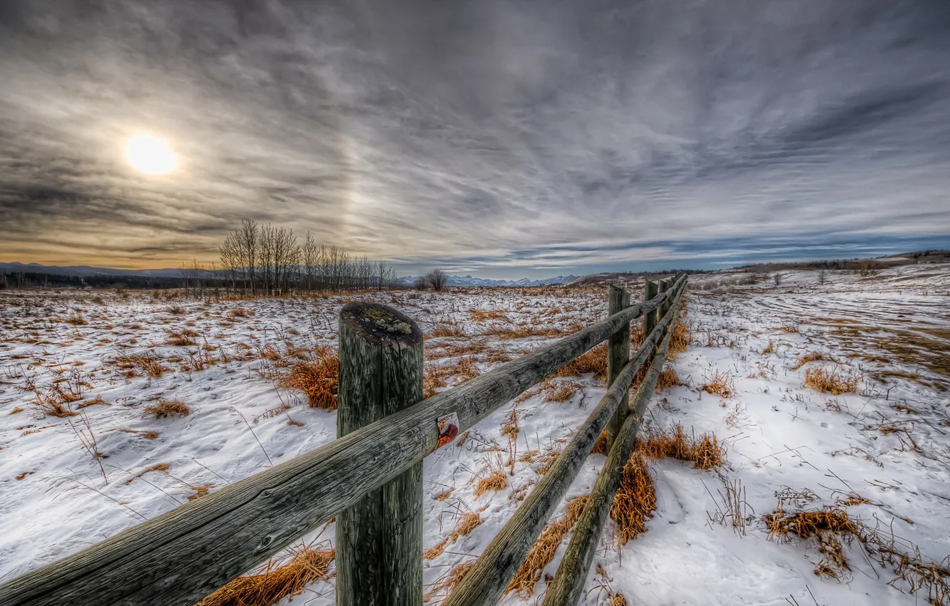 Photo wallpaper winter, field, the fence